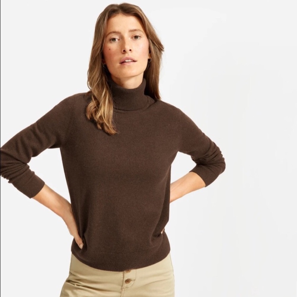 Everlane 100% Cashmere Camel Turtleneck